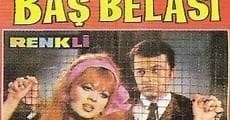 The Jail Bride (1968)  - Ver Película Completa en Español / Castellano - FULLTV