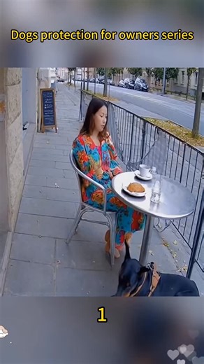 Dogs protect their owners 🥹 #doglover #puppylove #doglife #dogsofinstagram #supertrainerpet | Trainingpet Dogcat