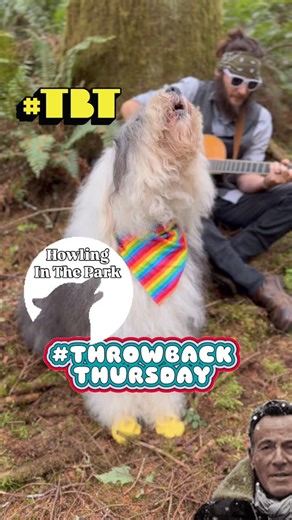 Arlo, LouLou & Gaia Champagne on Instagram: "#Throwback Thursday to “Howling In The Park” by @springsteen Bruce Spring(er Spaniel)steen . . . . #dog #singer #cute #happy #pet #petstagram #dogsofinstagram #acoustic #instagramdogs #dogstagram #lovedogs #coversong #music #adorable #doglover #rockdog #instadog #oldenglishsheepdog #singingdog #acousticcover #pnwdogs #oes #astoriaoregon #dogreel #animalhumanbonding #sing #dogoftheday #brucespringsteen #theboss"