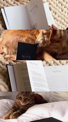 🌙✨ Un moment suspendu avec NOVA… Entre les pages qui s’ouvrent doucement, les pattes qui se glissent dans le cadre et les regards sereins de ceux qui partagent ton quotidien, il y a cette sensation simple : celle de rentrer chez toi. NOVA, c’est ça. Un livre qui respire avec toi, qui t’offre un espace où poser ce que tu ressens, où comprendre ce qui te traverse, où laisser ton âme se déposer en douceur. Chaque page éclaire. Chaque mot apaise. Chaque instant passé avec lui te ramène un peu plus 