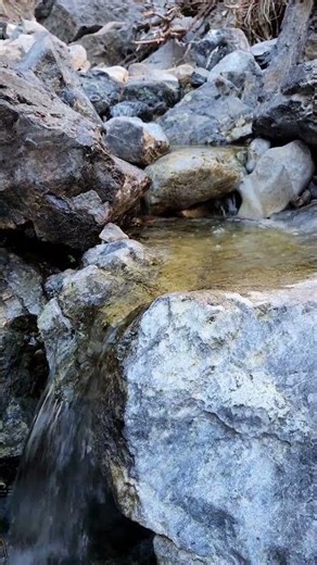 Fletcher Spring | Water Hiking ASMR | Mount Charleston, Nevada