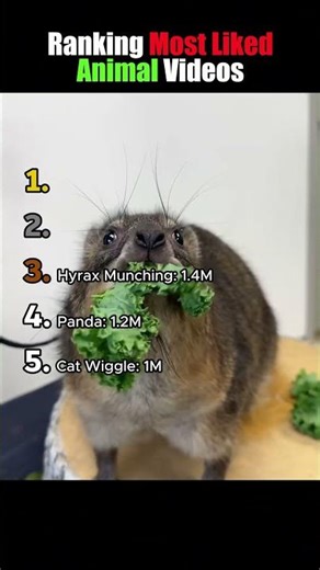 Ranking Most Liked Animal Videos 🐘💗