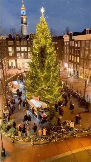 The Wild Nightlife of Amsterdam