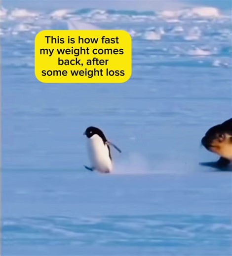 #crash_course_now #funnyvideos #funny #fun #funnymoments