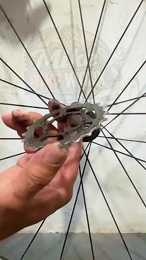 Removing an 8-Speed Cassette: Step-by-Step Bike Service