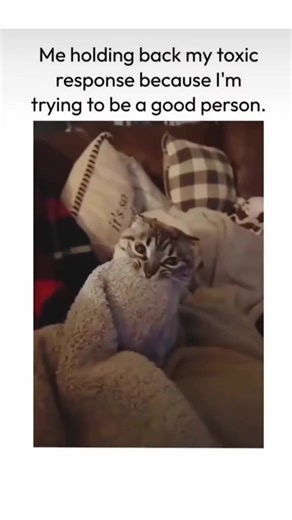 Real… #fyp #funny #viral #post #Meme