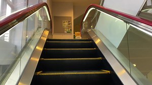 3.1K views · 57 reactions | Papio Bowl | Bowling Knowledge | Facebook