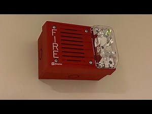 Basement Fire System Test 20 | Simplex Electronic Horn/Strobes