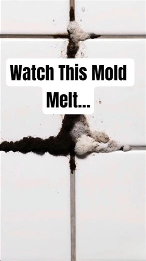 The clean line hits hard #cleaning #moldremoval #asmr