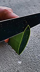 26K views · 628 reactions | Future banao time West mat karo.... # #akmotivation #goals #sucessful #future #lifechanging #motivationalspeaker #AI #attitude #lifequotes #motivation #LikeFollowShare #maindeck #motivationmonday #motivationalquotes | ak motivation | Facebook