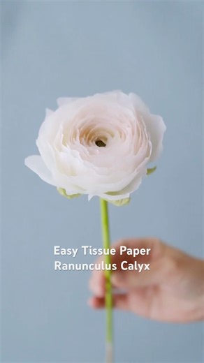 Tissue Paper Ranunculus Calyx (Easy Method) 薄葉紙でラナンキュラスの萼を作る方法#diyflowers #paperflowers #tutorial