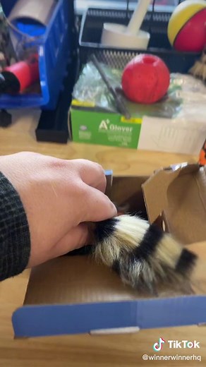 Nuevas Weasel Balls para Diversión en Arcade