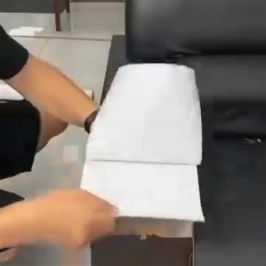 Dites adieu aux sièges abîmés, aux canapés déchirés et aux rayures...