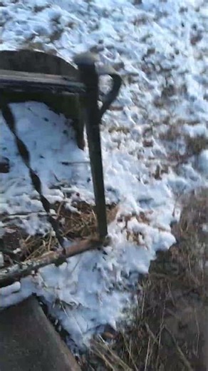 177 cal air rifle vs orange