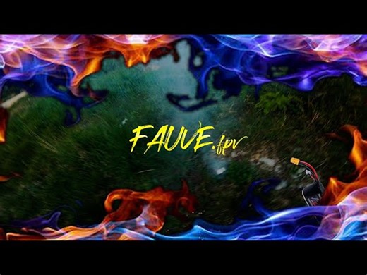 FAUVE_FPV# 飞到起火🔥　//法国穿越机多汁近物花飞