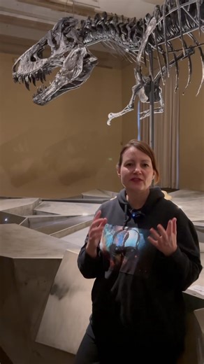 Museum für Naturkunde Berlin on Instagram: "Männlich? Weiblich? Oder einfach 𝘛. 𝘳𝘦𝘹? 🦖 Kann man anhand eines Dinosaurier-Skeletts das Geschlecht erkennen? Unsere Führung #QueeringNature greift genau solche Fragen auf – mit queergeschichtlicher Perspektive auf Natur und Wissenschaft. 🌍 📅 Jeden zweiten Dienstag im Monat: 13. Januar • 10. Februar • 10. März (auf Deutsch) 🇬🇧 Und zusätzlich auf Englisch: 6. Januar ⏰ Jeweils von 18:00 bis 19:30 Uhr 👉 Anmeldung und Infos: Link in Bio und Stor