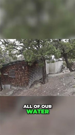 Exploring Bug Out Cabin