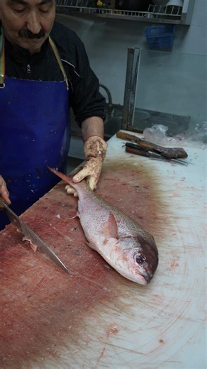 Quick Fish Filleting Guide: Master the Skill Fast