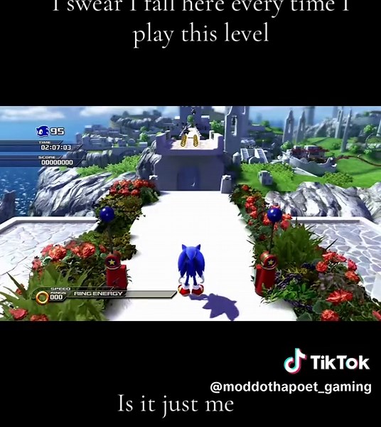 Sonic Level Challenge: Mastering Tough Spots