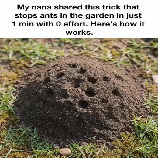 🚑 Read more in Comment or Most relevant -> All Comments 🗨️ | Model Aria Sarah