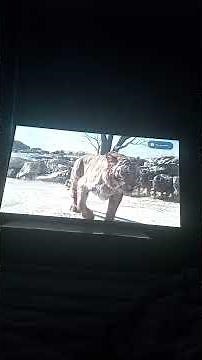 The Jungle Book 2016 Shere Khan scene🐯🐅
