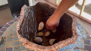 150 Gallon Desert ecosystem Simulation ( With Natural Disasters )