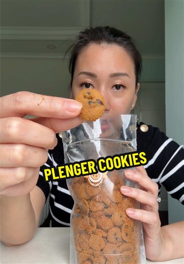 Terplenger Plenger Cookies: A Delightful Recipe Guide