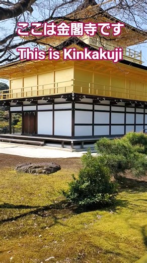 Golden Beauty of Kyoto | Kinkakuji Temple 🇯🇵✨京都の黄金の美しさ｜金閣寺✨