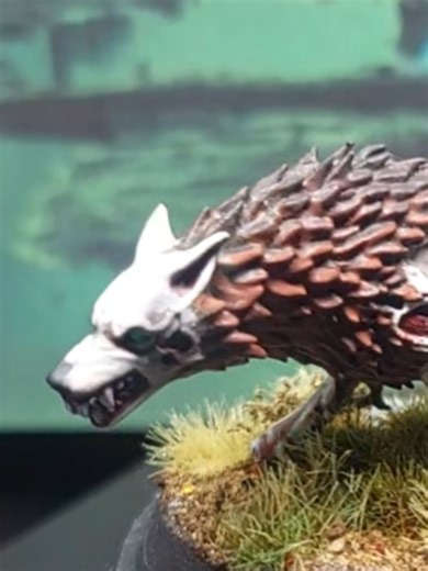 Dire wolf models are really cool and underrated as a painting project. They can be as easy or complicated as you want. They have a variety of fun textures. They can be done in endless color schemes. This was my attempt at a mangy rabid undead dog. #soulblightgravelords #warhammer #ageofsigmar #gamesworkshop #ttrpg