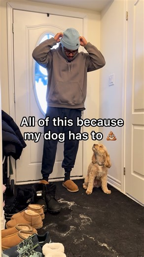 Luna The Mini Cockapoo on Instagram: "Can you blame her 😳 #dogs #puppylove #minicockapoo"