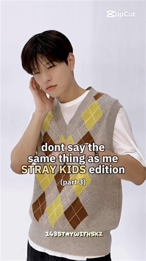 dont say the same thing as me (part 3) - stray kids edition #straykids #skz #new #foryou #fypシ