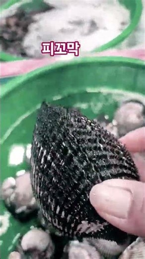 Amazing Health Benefits of Bloody Cockles (피꼬막)
