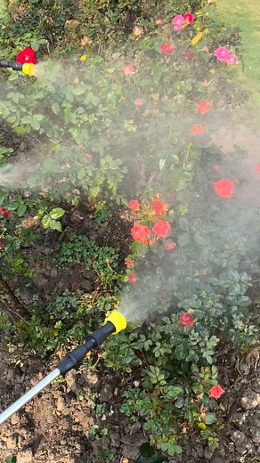 Get 30%off 🔥🔥🔥 get free home delivery✈️ Make gardening easier and faster! 🌿💪 Our 20L Manual Spray Machine lets you water and spray fertilizers effortlessly. Perfect for home gardens and backyard plants. Order now and get your garden thriving! 🌱 | DADA Sprayers