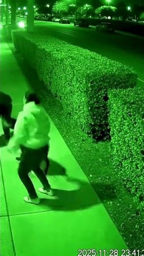 Miami CCTV Robber Grabbed Her Arm… Her Rottweiler Made Him Regret Being Born” 🇺🇸🐕💀