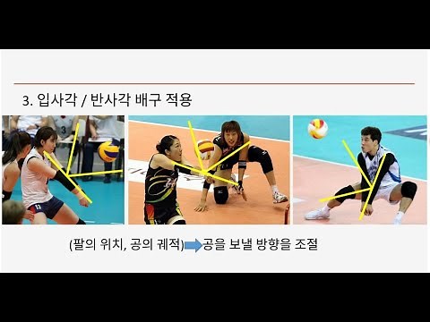 배구 과학적 원리(리시브)