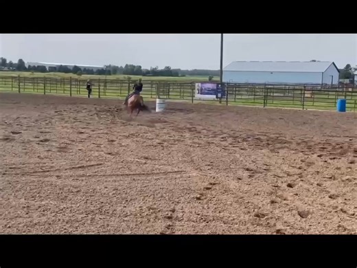 Tis the season!!! 2026 Futurity ready gelding with a winning pedigree, solid background and extensive hauling already under his belt he is ready for his new jockey!! Frosty is a 4-year-old bay gelding by PC Frosty Bid LTE $108K and out of Last Chance Whistle. He has been ridden by novice through advanced riders and stays the same for everyone—quiet, willing, and straightforward. Frosty has been hauled to exhibitions inside, outside, great ground and less than ground. He is well rounded and is re