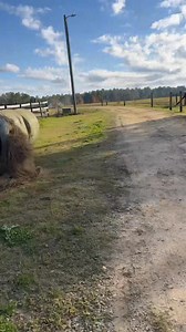 Feeding the animals. #iamlarrybjr #country #homesteading | Larry Brown Jr.