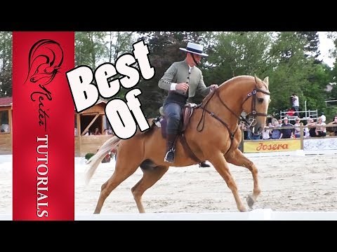 Working Equitation Best of WM 2018 Dressur Trail Part 1 // Reitertutorials
