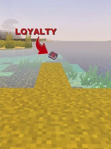 Minecraft's coolest enchantment loyalty.....