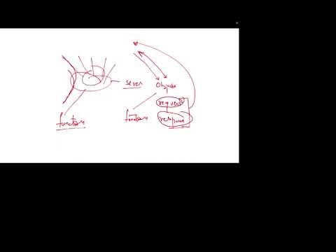 Video1- Introduction to client/server Architecture
