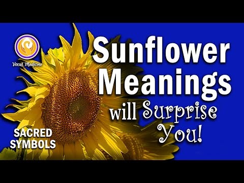 What Do Sunflowers Symbolize? Spiritual & Cultural Interpretations