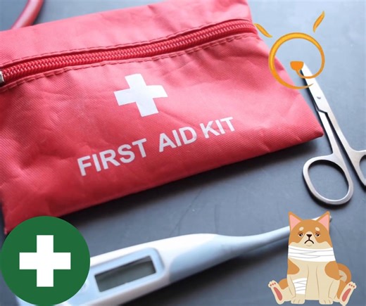 🩺✂️Do you have a first aid kit at home or in the car for your pets? Every pet owner should own a first aid kit with the items needed to provide first aid for small injuries. If you travel with your pet, it’s a good idea to also have a smaller kit in your car or bag to provide any care needed while on the go. Once you have given your pet first aid, take them to the vet for a check-up as soon as possible. Your first aid kit should contain: 🤕Bandages ✂️Blunt-ended scissors 🍶Wound wash 🤕Cotton w