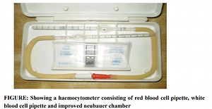 Introduction to Hemocytometry: What You Need to Know - Pharmacy Infoline