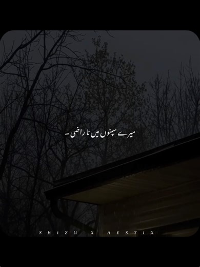 𝘼𝙜𝙚𝙧 𝙏𝙪𝙢 𝙎𝙖𝙩𝙝 𝙃𝙤 🫵🫀 . . . #foryoupage #trending #shizu_aestix #foryou #lyrics