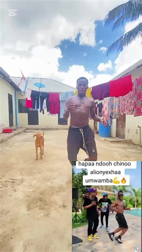 Chinese Dance Videos: Chino Wanaman's Groovy Moves