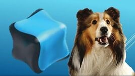 Qubo Episodes Mickey's Farm