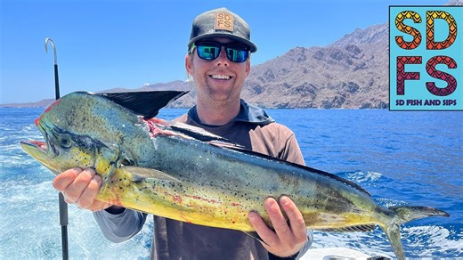Trolling hard for dorado fishing in Sea of Cortez Loreto Baja California
