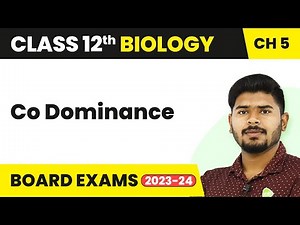 Co Dominance - Principles of Inheritance and Variation | Class 12 (2022-23)