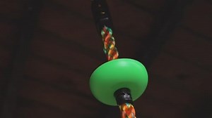 Watch Tree Swing for Kids - Single Disc Seat and Climbing Rope  on Amazon Live