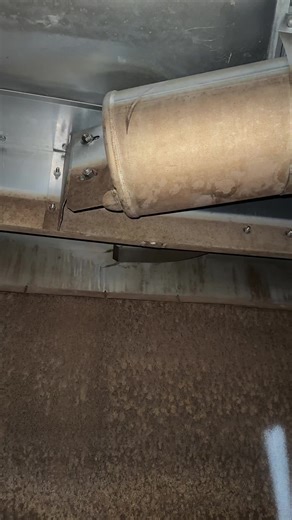 Somebody done left nuts all in my work area #worklife #pecan #tankie #bluecollar #boilermaker #work #pecans #ew #fyp #fypシ #contentcreator